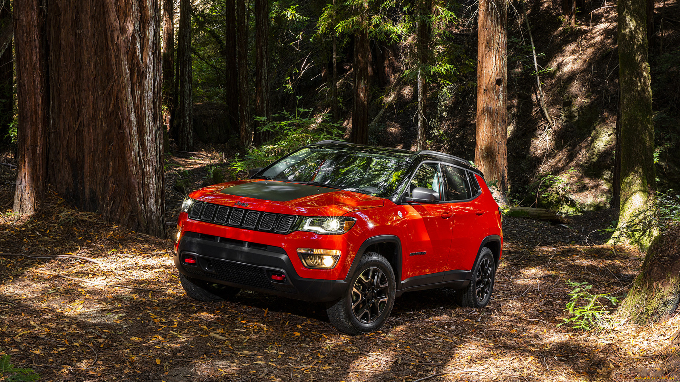 jeep compass trailhawk 2017, , jeep, compass, trailhawk, 2017